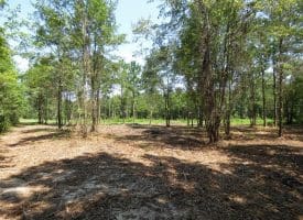 30+/- Acres of Farm and Timber Land for Sale in Robeson County, NC!