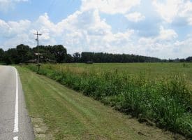 12+/- Acres of Farm Land For Sale In Robeson County, NC!