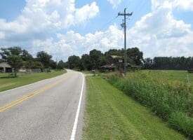 12+/- Acres of Farm Land For Sale In Robeson County, NC!