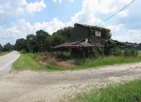 12+/- Acres of Farm Land For Sale In Robeson County, NC!