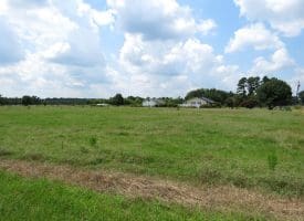 12+/- Acres of Farm Land For Sale In Robeson County, NC!