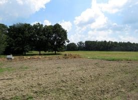 12+/- Acres of Farm Land For Sale In Robeson County, NC!