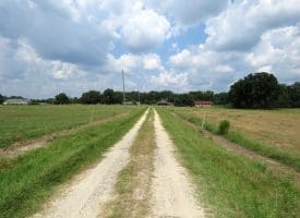 12+/- Acres of Farm Land For Sale In Robeson County, NC!