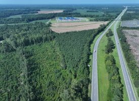 30+/- Acres of Farm and Timber Land For Sale in Scotland County, NC!