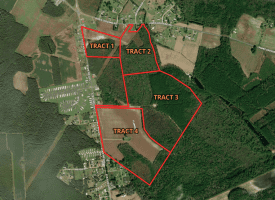 65.5+/- Acres of Timber and Hunting Land For Sale in Robeson County, NC!