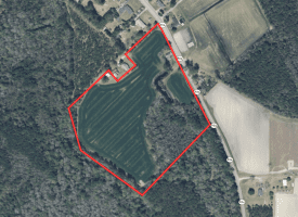20+/- Acres of Residential and Farm Land for Sale in Columbus County, NC!