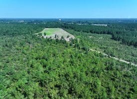 65.5+/- Acres of Timber and Hunting Land For Sale in Robeson County, NC!