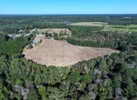 20+/- Acres of Residential and Farm Land for Sale in Columbus County, NC!
