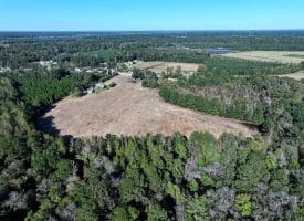 20+/- Acres of Residential and Farm Land for Sale in Columbus County, NC!
