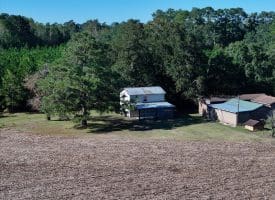 20+/- Acres of Residential and Farm Land for Sale in Columbus County, NC!
