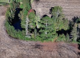 20+/- Acres of Residential and Farm Land for Sale in Columbus County, NC!