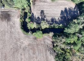 20+/- Acres of Residential and Farm Land for Sale in Columbus County, NC!