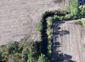 20+/- Acres of Residential and Farm Land for Sale in Columbus County, NC!