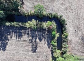 20+/- Acres of Residential and Farm Land for Sale in Columbus County, NC!