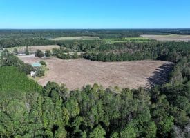 20+/- Acres of Residential and Farm Land for Sale in Columbus County, NC!