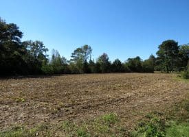 20+/- Acres of Residential and Farm Land for Sale in Columbus County, NC!