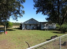 20+/- Acres of Residential and Farm Land for Sale in Columbus County, NC!