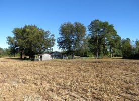 20+/- Acres of Residential and Farm Land for Sale in Columbus County, NC!