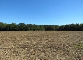 20+/- Acres of Residential and Farm Land for Sale in Columbus County, NC!