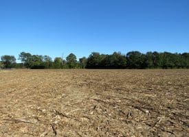 20+/- Acres of Residential and Farm Land for Sale in Columbus County, NC!