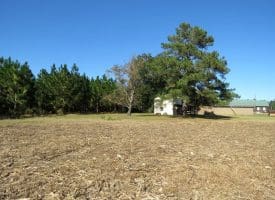 20+/- Acres of Residential and Farm Land for Sale in Columbus County, NC!