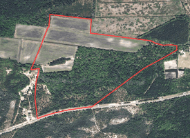 136+/- Acres of Farm and Hunting Land For Sale in Bladen County, NC!