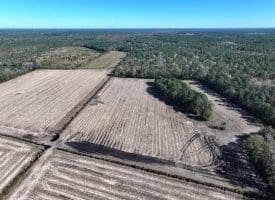 136+/- Acres of Farm and Hunting Land For Sale in Bladen County, NC!