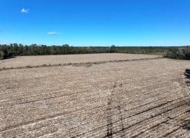 136+/- Acres of Farm and Hunting Land For Sale in Bladen County, NC!