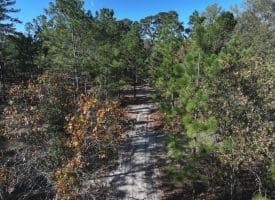 136+/- Acres of Farm and Hunting Land For Sale in Bladen County, NC!