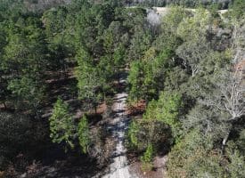 136+/- Acres of Farm and Hunting Land For Sale in Bladen County, NC!