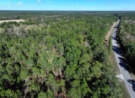 136+/- Acres of Farm and Hunting Land For Sale in Bladen County, NC!