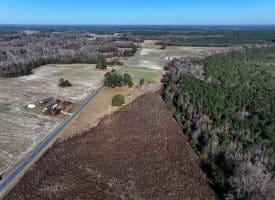 6.48+/- Acres of Residential, Agricultural or Hunting Property For Sale in Robeson County, NC!