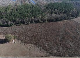 6.48+/- Acres of Residential, Agricultural or Hunting Property For Sale in Robeson County, NC!