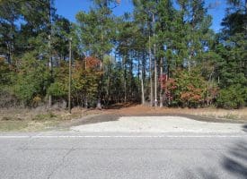 136+/- Acres of Farm and Hunting Land For Sale in Bladen County, NC!