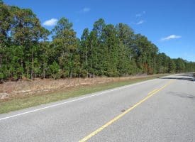 136+/- Acres of Farm and Hunting Land For Sale in Bladen County, NC!