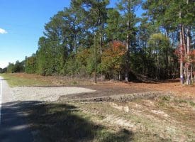 136+/- Acres of Farm and Hunting Land For Sale in Bladen County, NC!