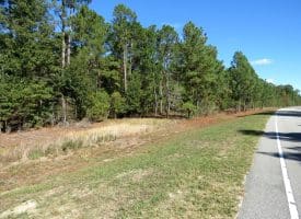 136+/- Acres of Farm and Hunting Land For Sale in Bladen County, NC!