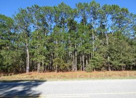 136+/- Acres of Farm and Hunting Land For Sale in Bladen County, NC!