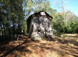 136+/- Acres of Farm and Hunting Land For Sale in Bladen County, NC!