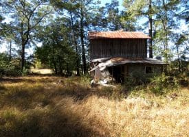136+/- Acres of Farm and Hunting Land For Sale in Bladen County, NC!