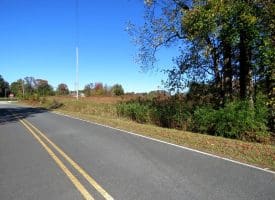 6+/- Acre Corner Lot For Sale in Robeson County NC!