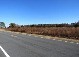 6.48+/- Acres of Residential, Agricultural or Hunting Property For Sale in Robeson County, NC!