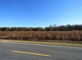 6.48+/- Acres of Residential, Agricultural or Hunting Property For Sale in Robeson County, NC!