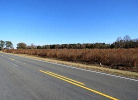6.48+/- Acres of Residential, Agricultural or Hunting Property For Sale in Robeson County, NC!