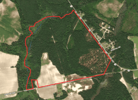 189+/- Acres of Farm and Timber Land For Sale in Robeson County, NC!