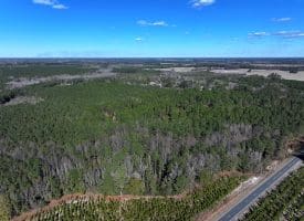 189+/- Acres of Farm and Timber Land For Sale in Robeson County, NC!