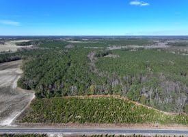 189+/- Acres of Farm and Timber Land For Sale in Robeson County, NC!