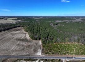 189+/- Acres of Farm and Timber Land For Sale in Robeson County, NC!