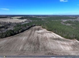 189+/- Acres of Farm and Timber Land For Sale in Robeson County, NC!