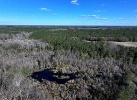 189+/- Acres of Farm and Timber Land For Sale in Robeson County, NC!